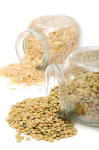 The Basics of Seed Storage Image